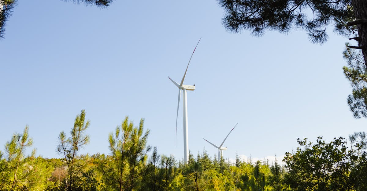 10 conseils pour optimiser l’efficacité énergétique de votre logement pendant des travaux de rénovation